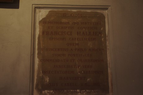 Francisci Hallier